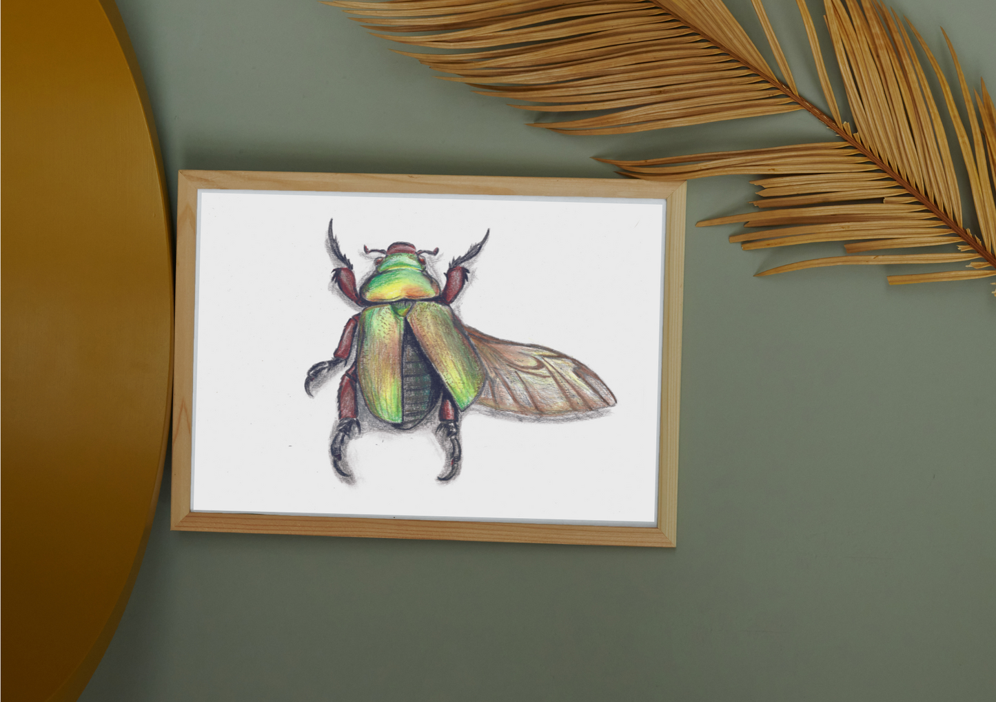 King Beetle Pencil Drawing