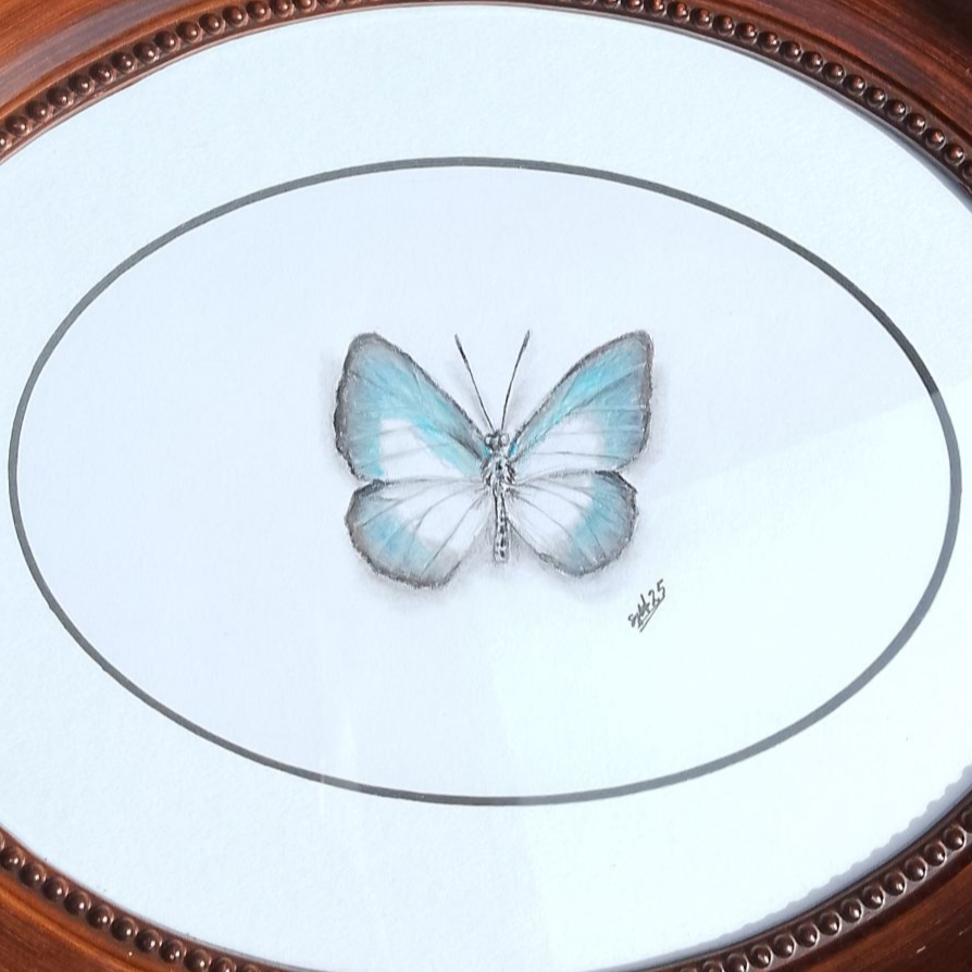 Large green-banded Blue Butterfly Framed Original