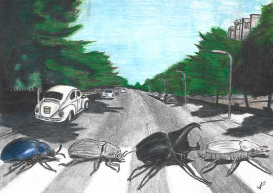 "Abbey Road - The Beetles" - Pencil Drawing