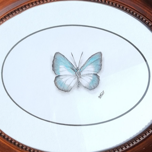 Large green-banded Blue Butterfly Framed Original