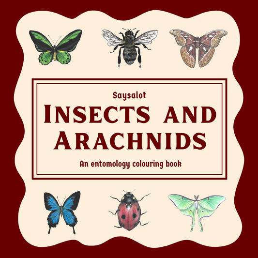 PREORDER: Insects and Arachnids: An Entomology Colouring Book